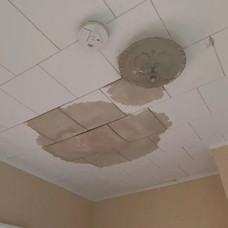 Ceiling Water Damage Repair in North Wales, PA
