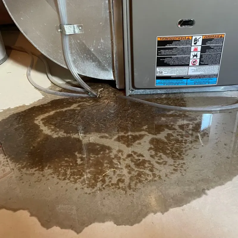 Pipe Burst and Leak Restoration in North Wales, PA